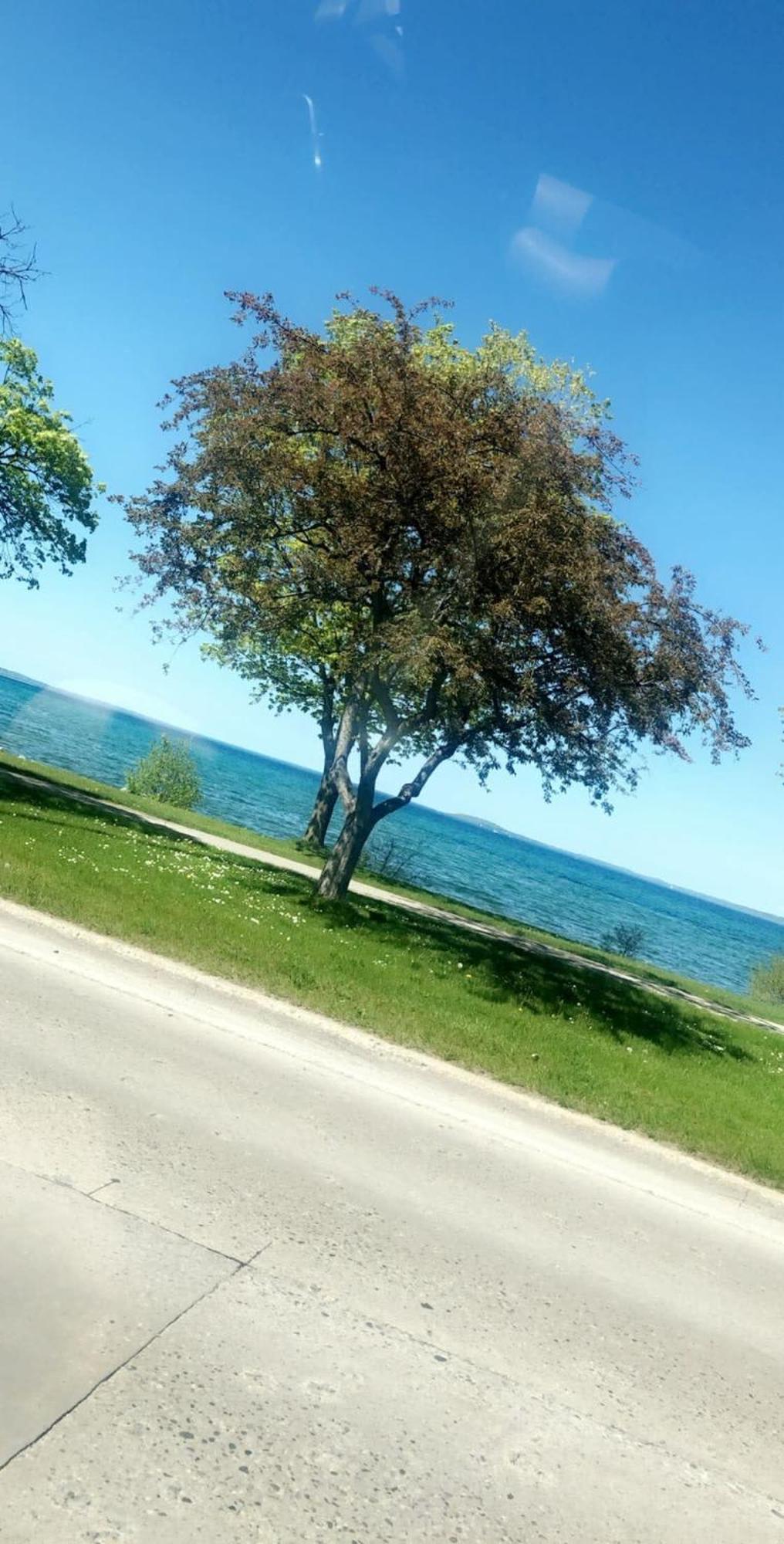 Location Location - Capri Condo 212 Traverse City Luaran gambar